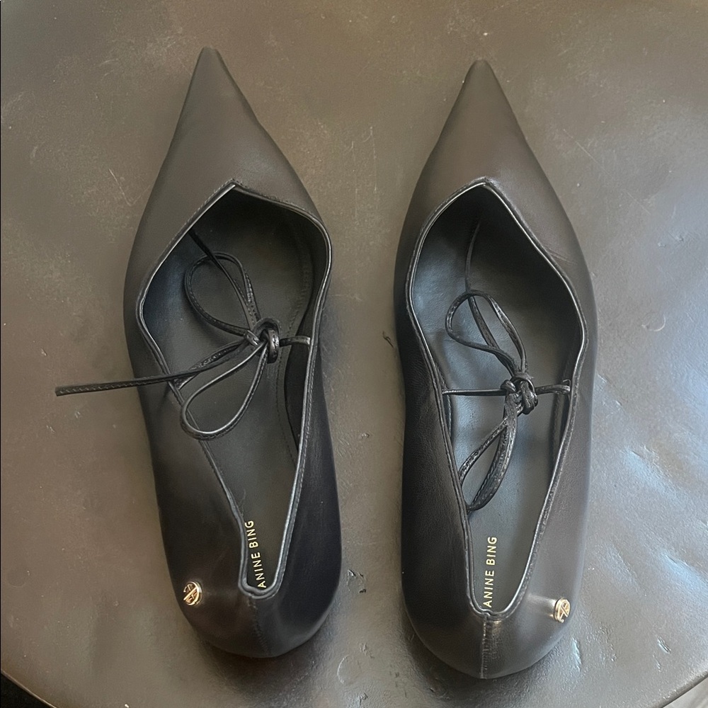Anine Bing Nikki Flats - Black leather pointed - Picture 3 of 13